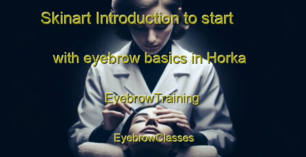 Skinart Introduction to start with eyebrow basics in Horka | EyebrowTraining | EyebrowClasses | SkinartTraining-Germany