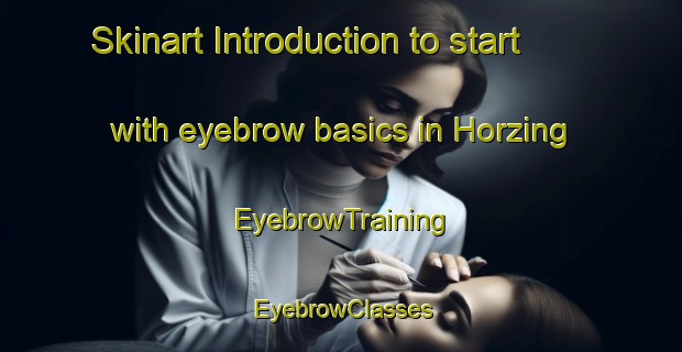 Skinart Introduction to start with eyebrow basics in Horzing | EyebrowTraining | EyebrowClasses | SkinartTraining-Germany