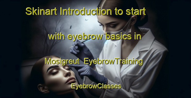 Skinart Introduction to start with eyebrow basics in Mosigreut | EyebrowTraining | EyebrowClasses | SkinartTraining-Germany