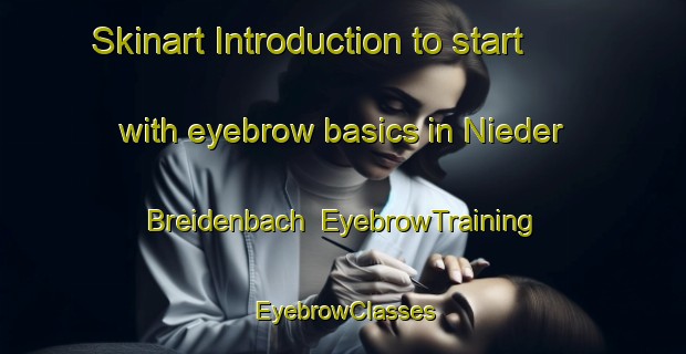 Skinart Introduction to start with eyebrow basics in Nieder Breidenbach | EyebrowTraining | EyebrowClasses | SkinartTraining-Germany