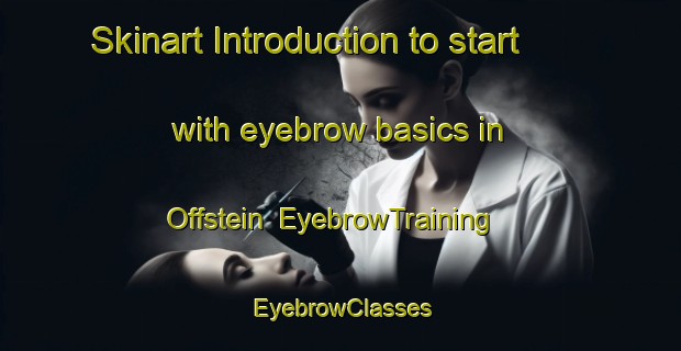 Skinart Introduction to start with eyebrow basics in Offstein | EyebrowTraining | EyebrowClasses | SkinartTraining-Germany