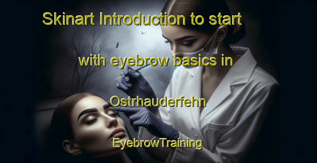 Skinart Introduction to start with eyebrow basics in Ostrhauderfehn | EyebrowTraining | EyebrowClasses | SkinartTraining-Germany