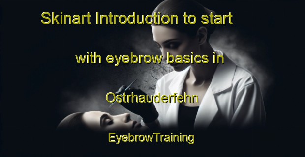 Skinart Introduction to start with eyebrow basics in Ostrhauderfehn | EyebrowTraining | EyebrowClasses | SkinartTraining-Germany