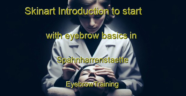 Skinart Introduction to start with eyebrow basics in Spahnharrenstaette | EyebrowTraining | EyebrowClasses | SkinartTraining-Germany