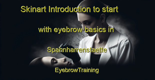 Skinart Introduction to start with eyebrow basics in Spahnharrenstaette | EyebrowTraining | EyebrowClasses | SkinartTraining-Germany