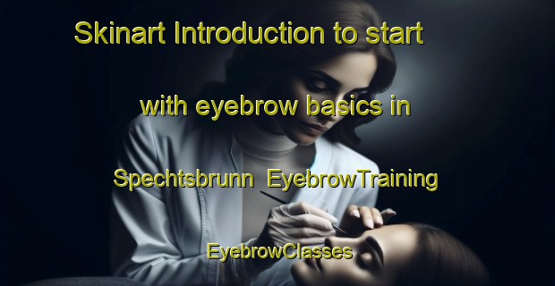 Skinart Introduction to start with eyebrow basics in Spechtsbrunn | EyebrowTraining | EyebrowClasses | SkinartTraining-Germany