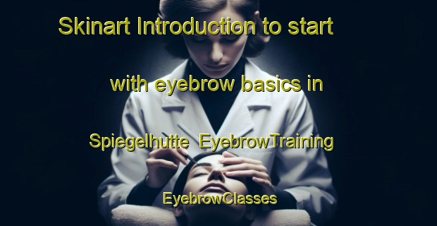 Skinart Introduction to start with eyebrow basics in Spiegelhutte | EyebrowTraining | EyebrowClasses | SkinartTraining-Germany