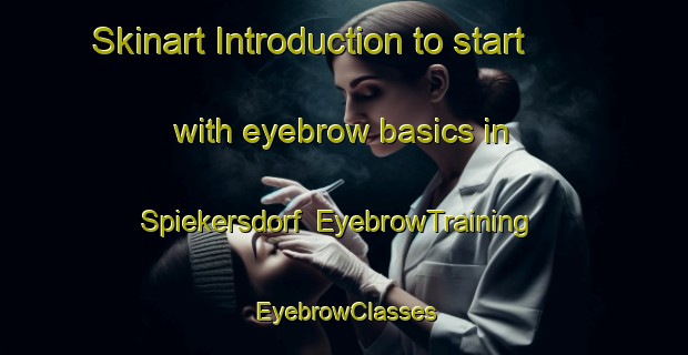 Skinart Introduction to start with eyebrow basics in Spiekersdorf | EyebrowTraining | EyebrowClasses | SkinartTraining-Germany