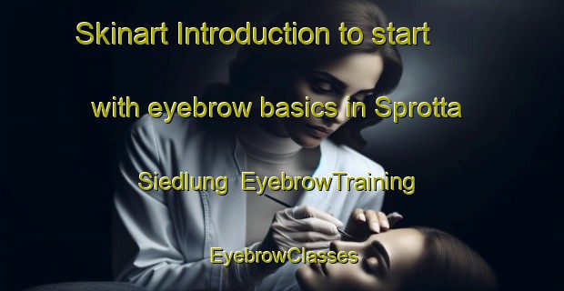 Skinart Introduction to start with eyebrow basics in Sprotta Siedlung | EyebrowTraining | EyebrowClasses | SkinartTraining-Germany