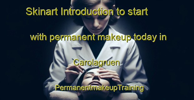 Skinart Introduction to start with permanent makeup today in Carolagruen | PermanentmakeupTraining | PermanentmakeupClasses | SkinartTraining-Germany