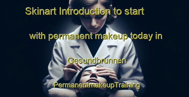 Skinart Introduction to start with permanent makeup today in Gesundbrunnen | PermanentmakeupTraining | PermanentmakeupClasses | SkinartTraining-Germany