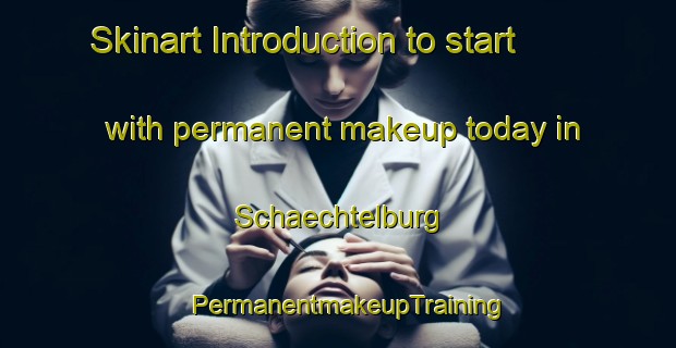Skinart Introduction to start with permanent makeup today in Schaechtelburg | PermanentmakeupTraining | PermanentmakeupClasses | SkinartTraining-Germany