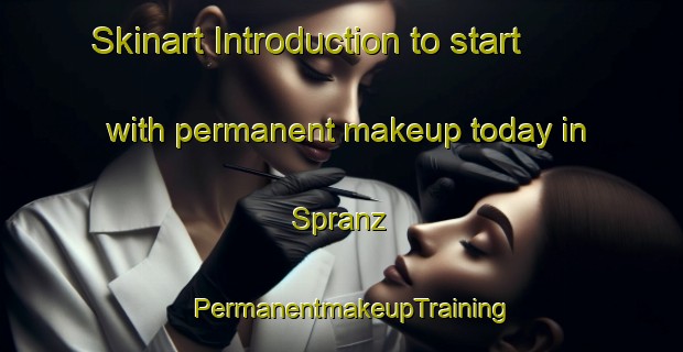 Skinart Introduction to start with permanent makeup today in Spranz | PermanentmakeupTraining | PermanentmakeupClasses | SkinartTraining-Germany