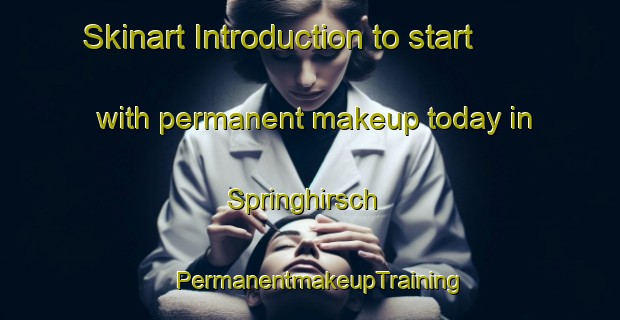 Skinart Introduction to start with permanent makeup today in Springhirsch | PermanentmakeupTraining | PermanentmakeupClasses | SkinartTraining-Germany