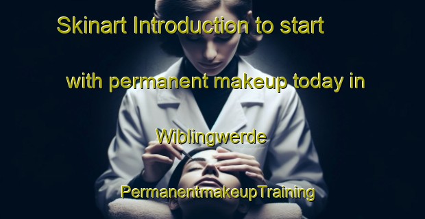 Skinart Introduction to start with permanent makeup today in Wiblingwerde | PermanentmakeupTraining | PermanentmakeupClasses | SkinartTraining-Germany