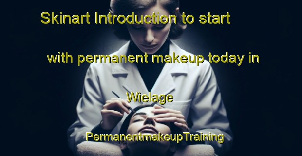 Skinart Introduction to start with permanent makeup today in Wielage | PermanentmakeupTraining | PermanentmakeupClasses | SkinartTraining-Germany