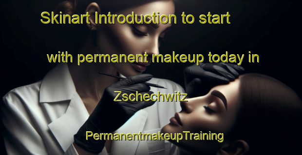 Skinart Introduction to start with permanent makeup today in Zschechwitz | PermanentmakeupTraining | PermanentmakeupClasses | SkinartTraining-Germany