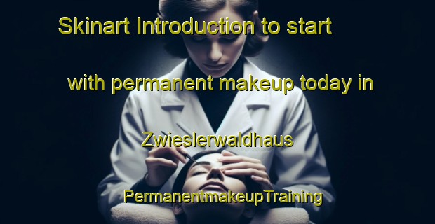 Skinart Introduction to start with permanent makeup today in Zwieslerwaldhaus | PermanentmakeupTraining | PermanentmakeupClasses | SkinartTraining-Germany