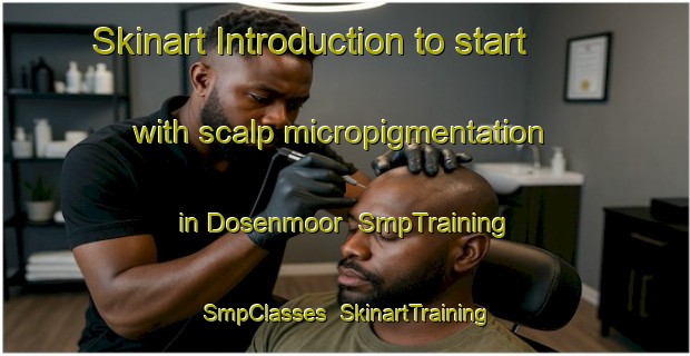 Skinart Introduction to start with scalp micropigmentation in Dosenmoor | SmpTraining | SmpClasses | SkinartTraining-Germany
