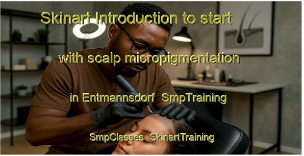 Skinart Introduction to start with scalp micropigmentation in Entmannsdorf | SmpTraining | SmpClasses | SkinartTraining-Germany