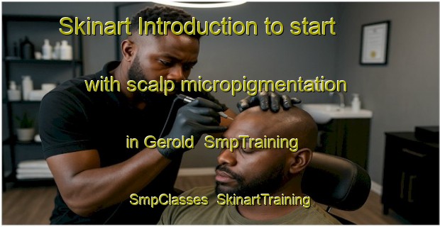 Skinart Introduction to start with scalp micropigmentation in Gerold | SmpTraining | SmpClasses | SkinartTraining-Germany