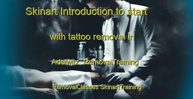 Skinart Introduction to start with tattoo removal in Adelwitz | #RemovalTraining #RemovalClasses #SkinartTraining-Germany