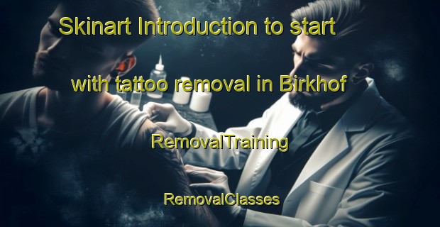Skinart Introduction to start with tattoo removal in Birkhof | RemovalTraining | RemovalClasses | SkinartTraining-Germany