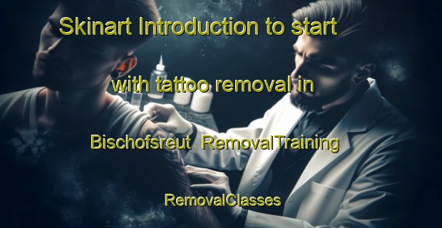 Skinart Introduction to start with tattoo removal in Bischofsreut | RemovalTraining | RemovalClasses | SkinartTraining-Germany