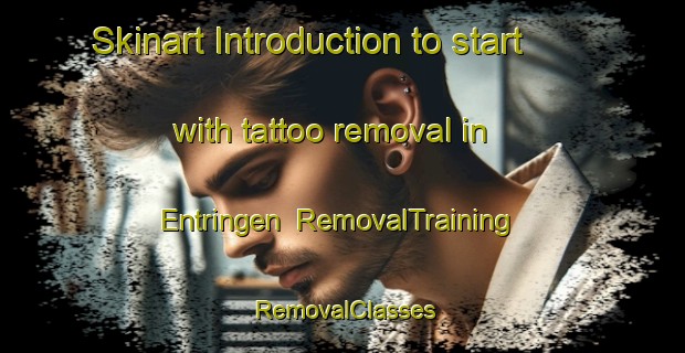 Skinart Introduction to start with tattoo removal in Entringen | RemovalTraining | RemovalClasses | SkinartTraining-Germany