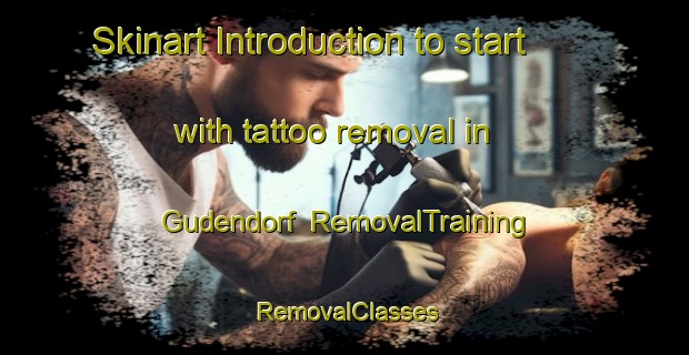 Skinart Introduction to start with tattoo removal in Gudendorf | RemovalTraining | RemovalClasses | SkinartTraining-Germany