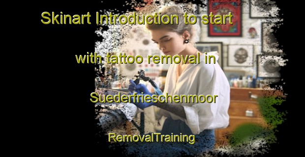 Skinart Introduction to start with tattoo removal in Suederfrieschenmoor | RemovalTraining | RemovalClasses | SkinartTraining-Germany