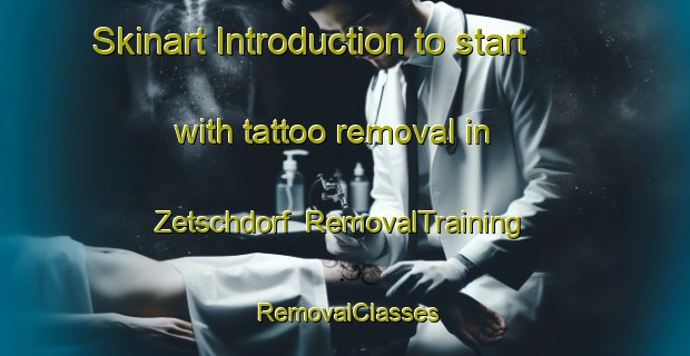 Skinart Introduction to start with tattoo removal in Zetschdorf | RemovalTraining | RemovalClasses | SkinartTraining-Germany
