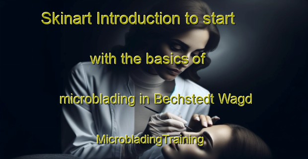 Skinart Introduction to start with the basics of microblading in Bechstedt Wagd | MicrobladingTraining | MicrobladingClasses | SkinartTraining-Germany