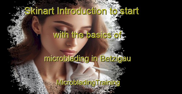 Skinart Introduction to start with the basics of microblading in Betzigau | MicrobladingTraining | MicrobladingClasses | SkinartTraining-Germany