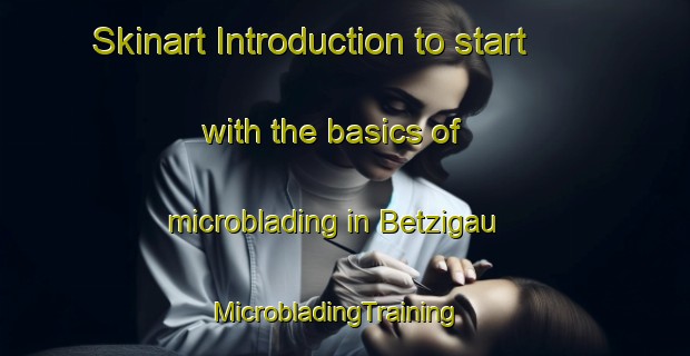 Skinart Introduction to start with the basics of microblading in Betzigau | MicrobladingTraining | MicrobladingClasses | SkinartTraining-Germany