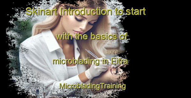 Skinart Introduction to start with the basics of microblading in Eitra | MicrobladingTraining | MicrobladingClasses | SkinartTraining-Germany