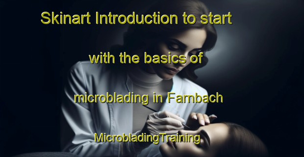 Skinart Introduction to start with the basics of microblading in Farnbach | MicrobladingTraining | MicrobladingClasses | SkinartTraining-Germany