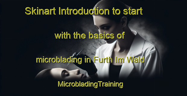 Skinart Introduction to start with the basics of microblading in Furth Im Wald | MicrobladingTraining | MicrobladingClasses | SkinartTraining-Germany