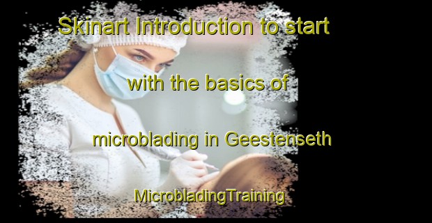 Skinart Introduction to start with the basics of microblading in Geestenseth | MicrobladingTraining | MicrobladingClasses | SkinartTraining-Germany