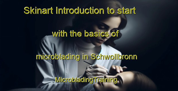 Skinart Introduction to start with the basics of microblading in Schwollbronn | MicrobladingTraining | MicrobladingClasses | SkinartTraining-Germany