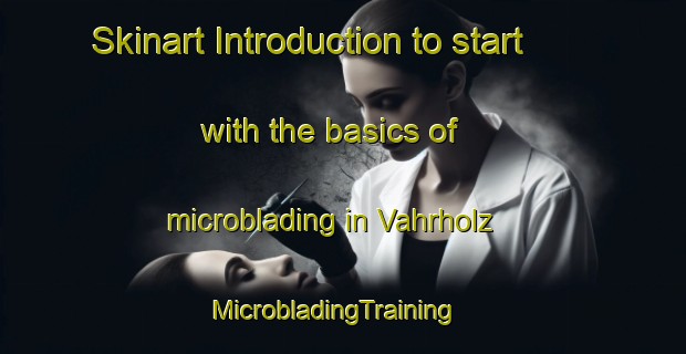 Skinart Introduction to start with the basics of microblading in Vahrholz | MicrobladingTraining | MicrobladingClasses | SkinartTraining-Germany