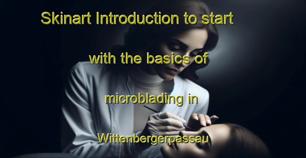 Skinart Introduction to start with the basics of microblading in Wittenbergerpassau | MicrobladingTraining | MicrobladingClasses | SkinartTraining-Germany