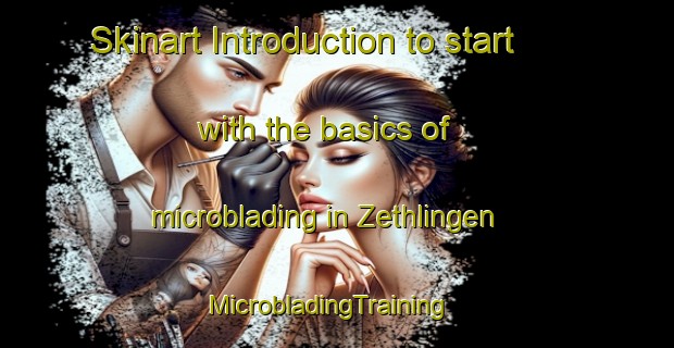 Skinart Introduction to start with the basics of microblading in Zethlingen | MicrobladingTraining | MicrobladingClasses | SkinartTraining-Germany