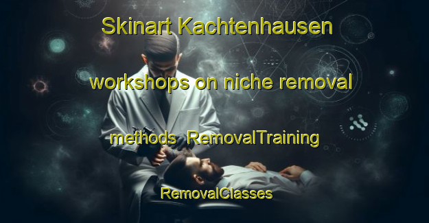 Skinart Kachtenhausen workshops on niche removal methods | RemovalTraining | RemovalClasses | SkinartTraining-Germany