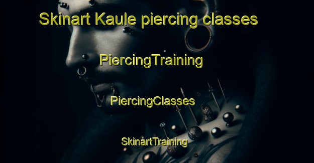 Skinart Kaule piercing classes | PiercingTraining | PiercingClasses | SkinartTraining-Germany