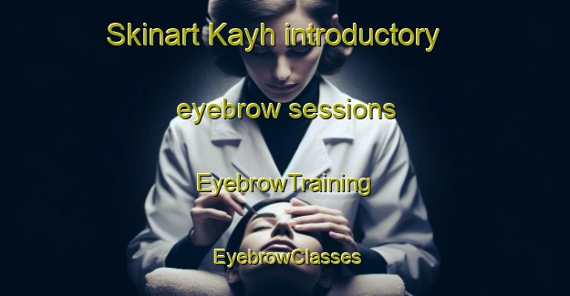 Skinart Kayh introductory eyebrow sessions | EyebrowTraining | EyebrowClasses | SkinartTraining-Germany
