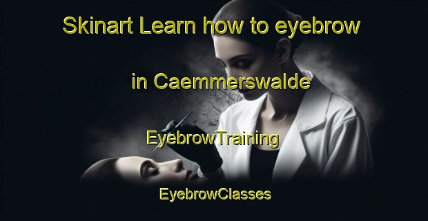 Skinart Learn how to eyebrow in Caemmerswalde | EyebrowTraining | EyebrowClasses | SkinartTraining-Germany