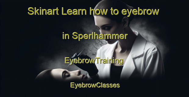 Skinart Learn how to eyebrow in Sperlhammer | EyebrowTraining | EyebrowClasses | SkinartTraining-Germany