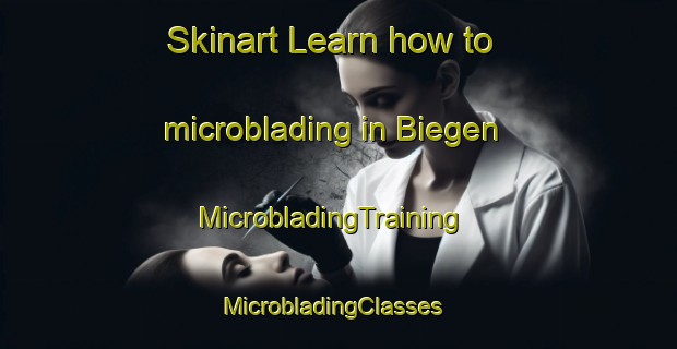 Skinart Learn how to microblading in Biegen | MicrobladingTraining | MicrobladingClasses | SkinartTraining-Germany