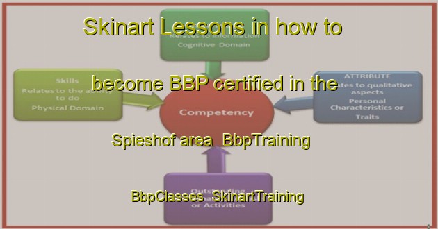 Skinart Lessons in how to become BBP certified in the Spieshof area | BbpTraining | BbpClasses | SkinartTraining-Germany